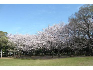 行田公園まで1300ｍ