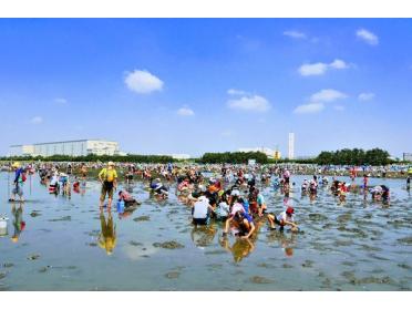 ふなばし三番瀬海浜公園まで3600ｍ