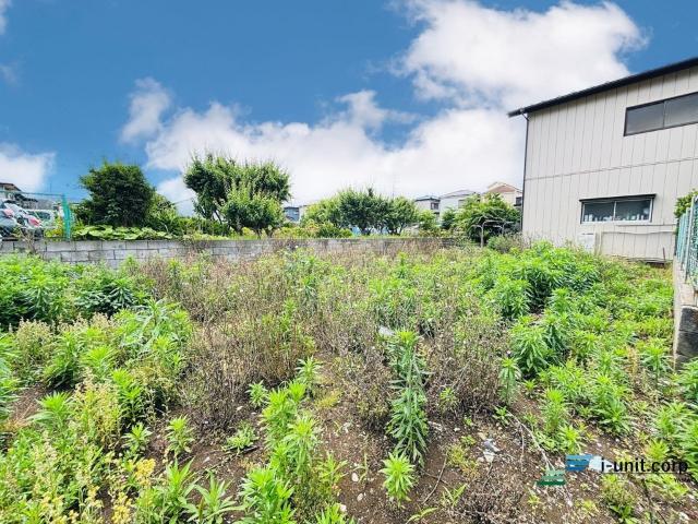 陽当たり良好☆採光たっぷりの明るい住環境で新生活をスタート！