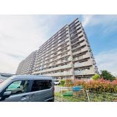 初めての住宅購入もお住み替えもピタットハウス西船橋14号店へ是非一度ご相談下さい。