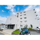 初めての住宅購入もお住み替えもピタットハウス西船橋14号店へ是非一度ご相談下さい。