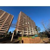 新規リノベーション物件です。