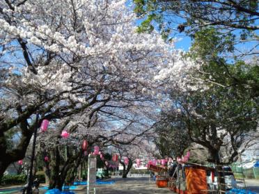 薬円台公園