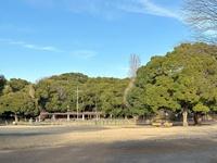 13号若宮第1緑地