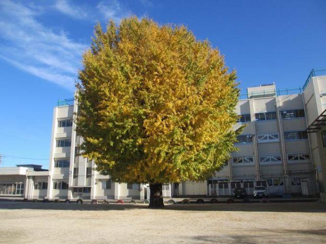 船橋市立塚田小学校
