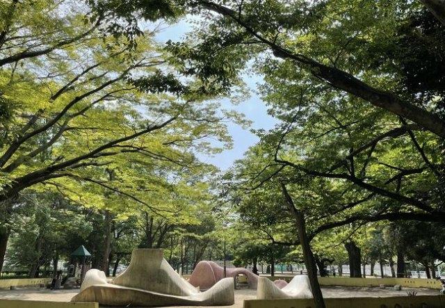 薬円台公園