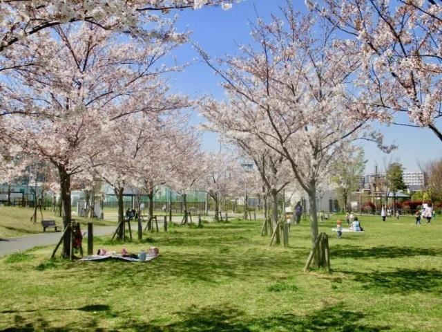 広尾防災公園