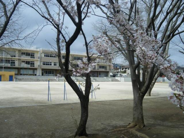 八千代市立八千代台東小学校