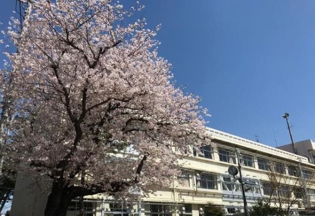 船橋市立八栄小学校