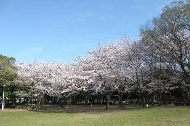 行田公園