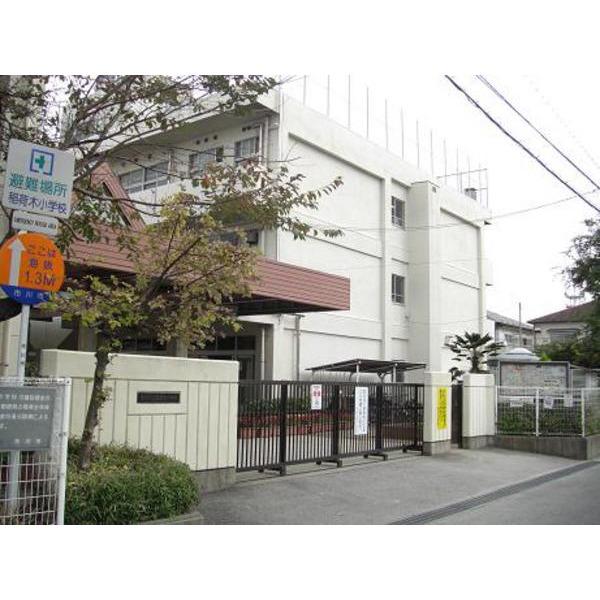 小学校