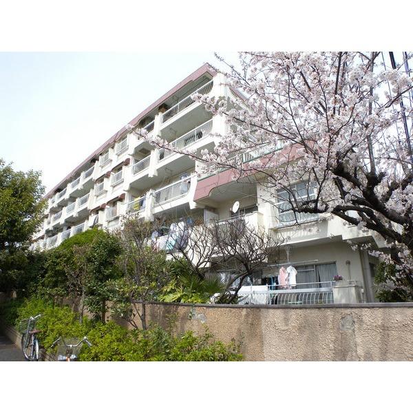 市川藤マンションNo.3 物件画像