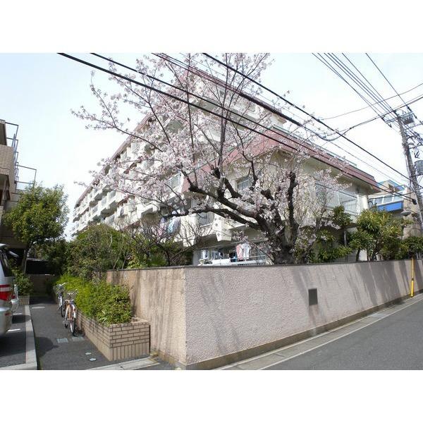市川藤マンションNo.3 物件画像