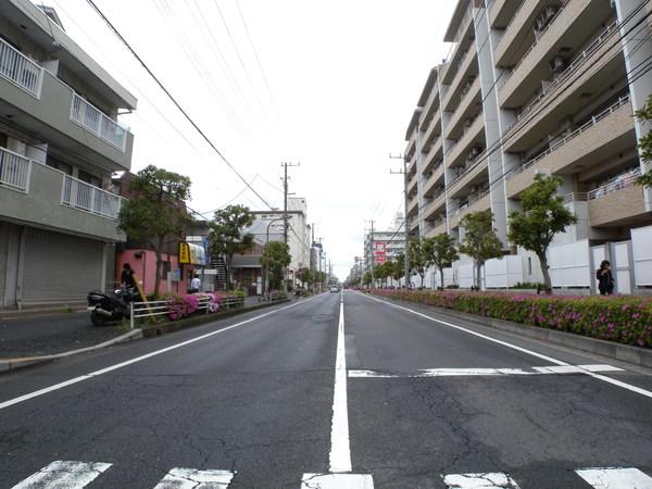 ダイアパレス行徳 物件画像
