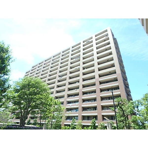 専有面積約100平米以上の室内です。