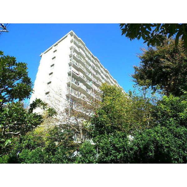 市川パークハイツA棟 物件画像