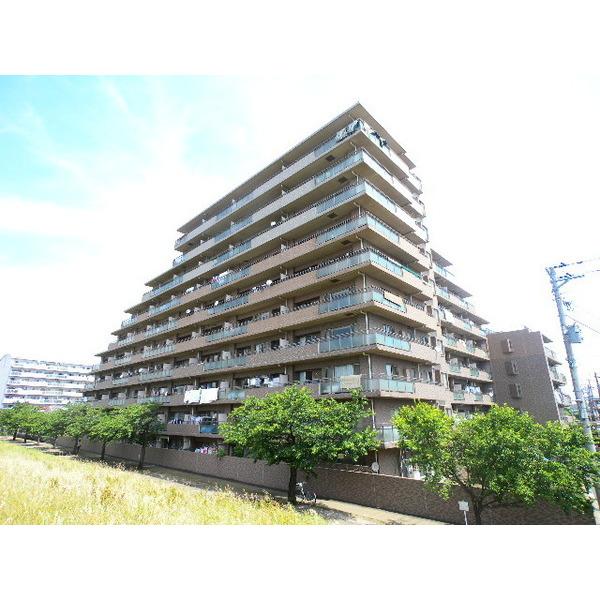 南西向きで日当たり良好です。