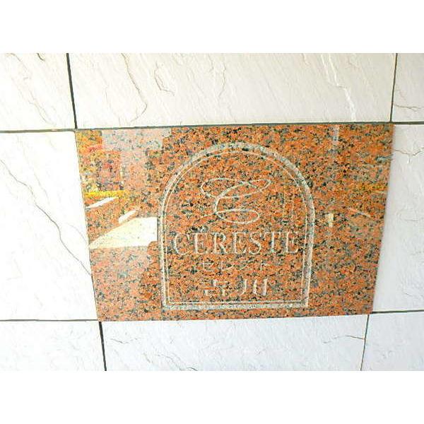 セレスト吉川 物件画像