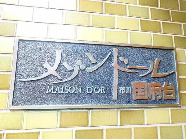 メゾンドール市川国府台 物件画像