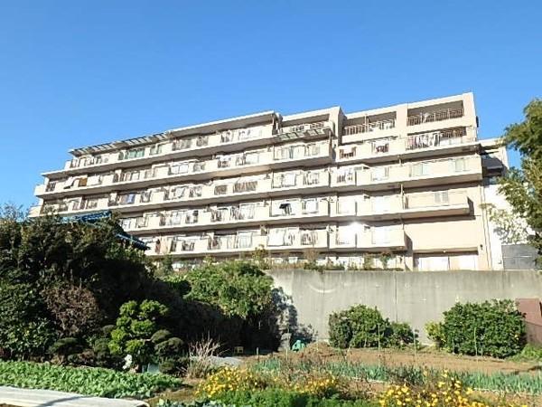 周りに建物がないので陽当り良好ですね。