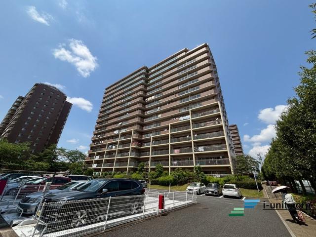 南向きで陽当り良好です。