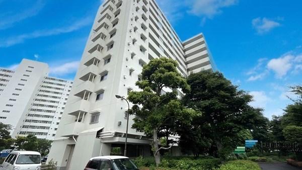 緑が映えるマンションです。