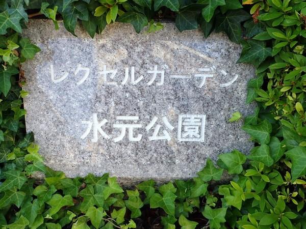 レクセルガーデン水元公園 物件画像