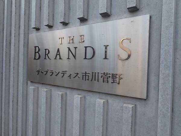 ザ・ブランデイス市川菅野 物件画像