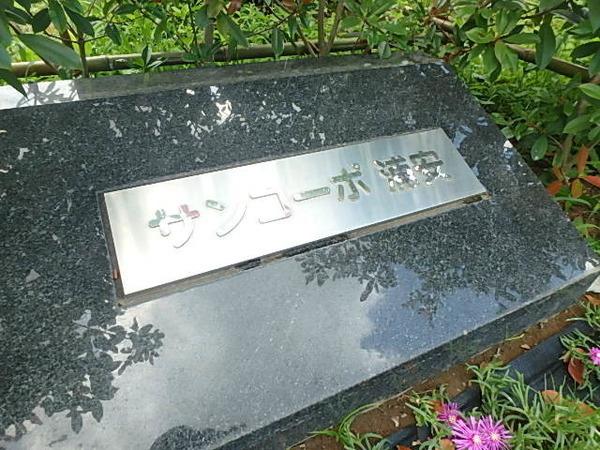 サンコーポ浦安　E棟 物件画像