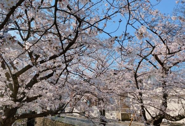 公園
