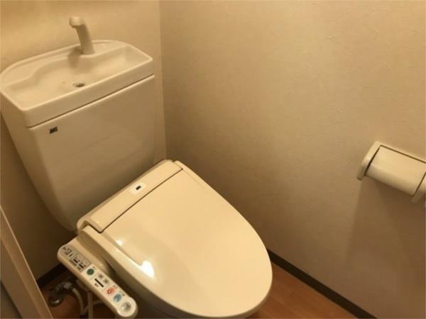 グランディール高来（207） トイレ