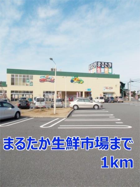 ノーブル（202） その他