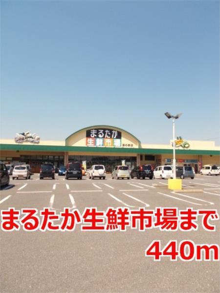 フレーシュ・メゾン（101） その他