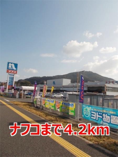 フェイト（205） その他