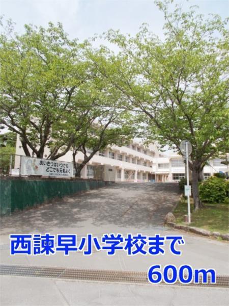カンフォタブル（202） その他