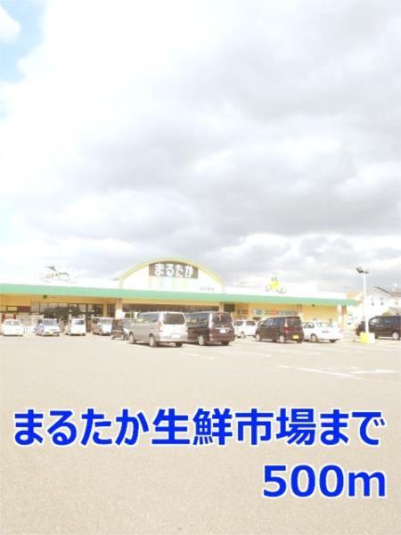 ファミ−ルつたぎＢ（101） その他