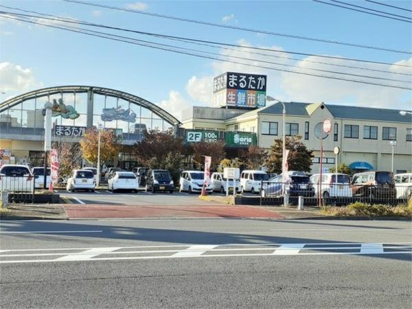 プルミエール（104） その他