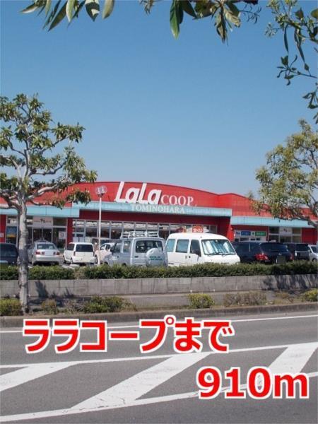 カサ・ファミリアI（101） その他