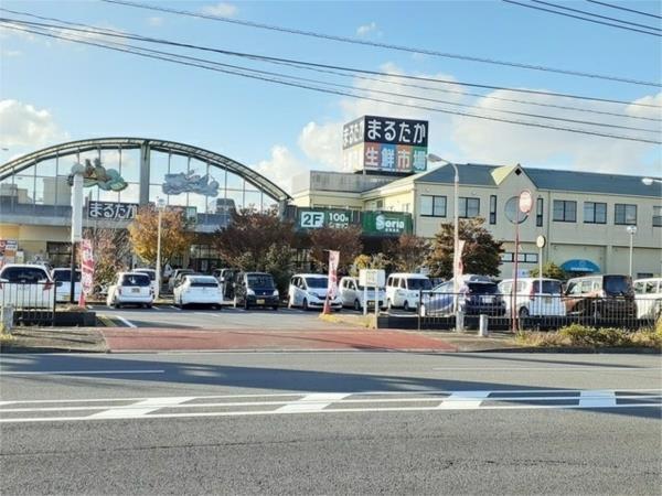 プラシードヒル　X（101） その他