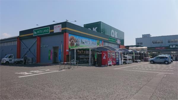 ｻﾞ･ﾀﾞｲｿｰ OKﾎｰﾑ＆ｶﾞｰﾃﾞﾝ大村店：215m