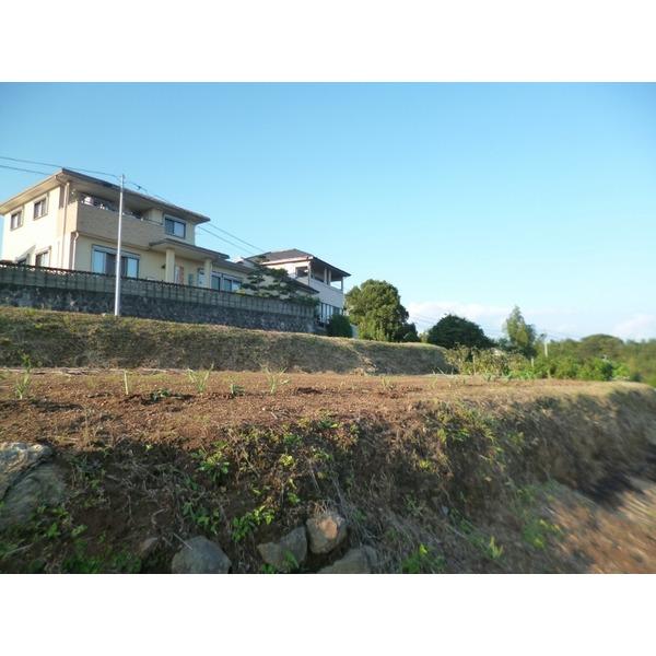 小豆崎町売地 土地