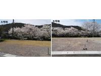Ａ号地：60.50坪：990万円・Ｂ号地：60.50坪：990万円