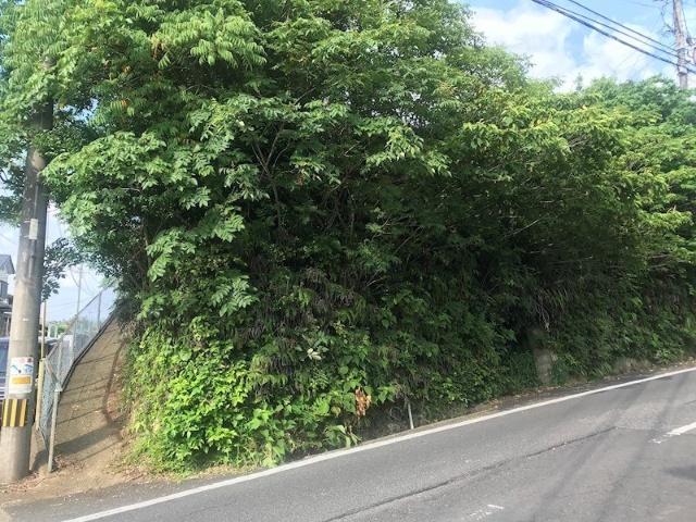 大村市久原2丁目　売地 土地