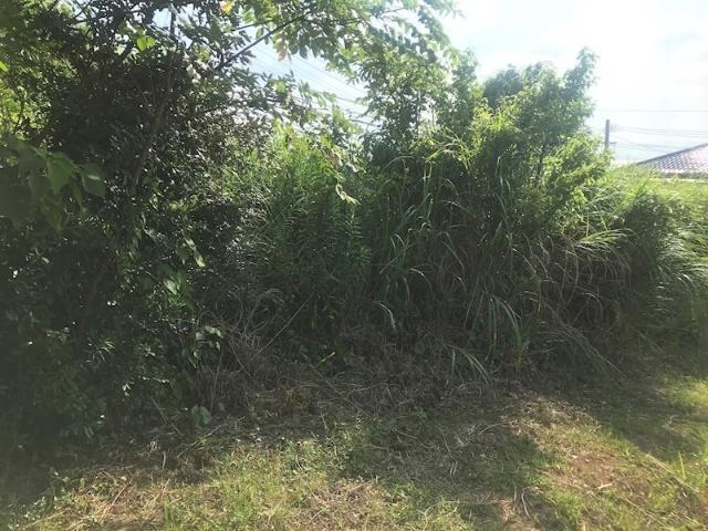 大村市久原2丁目　売地 土地