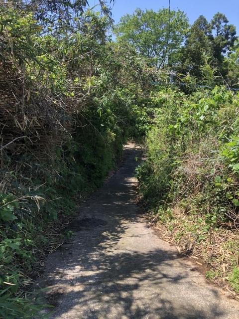 雲仙市愛野町乙　売地 土地画像