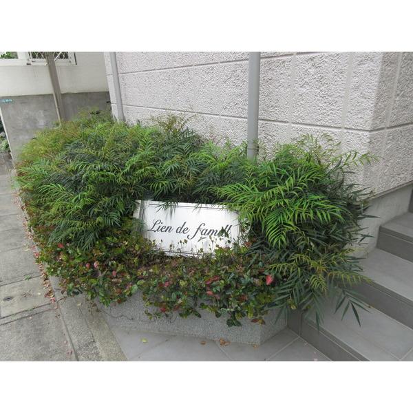 目黒区柿の木坂アパート その他