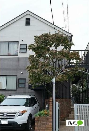 ハーヴェスト八雲 共有部分