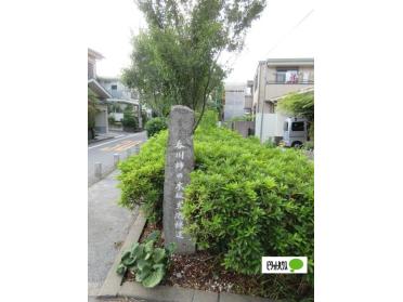 呑川柿の木坂支流緑道：189m