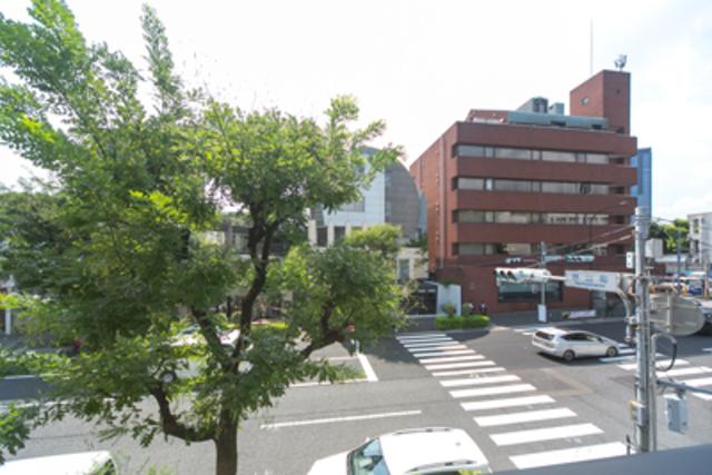 ＵＲＢＡＮ　ＰＡＲＫ　ＧＲＡＮＤＥ代官山（204） 眺望