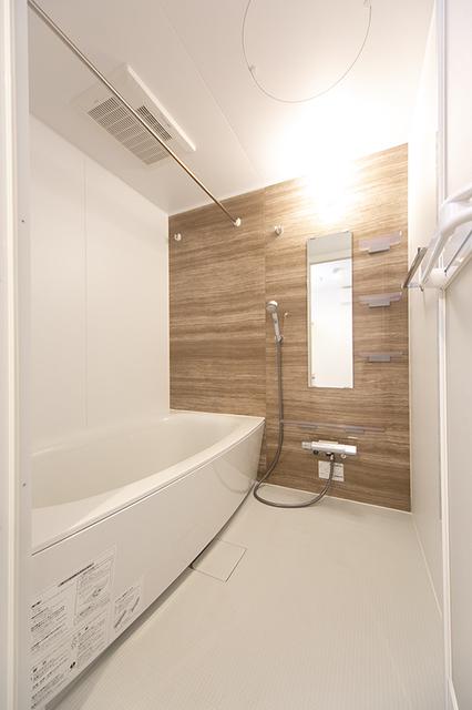 ＬＡＰｉＳ武蔵小山（401） 部屋画像